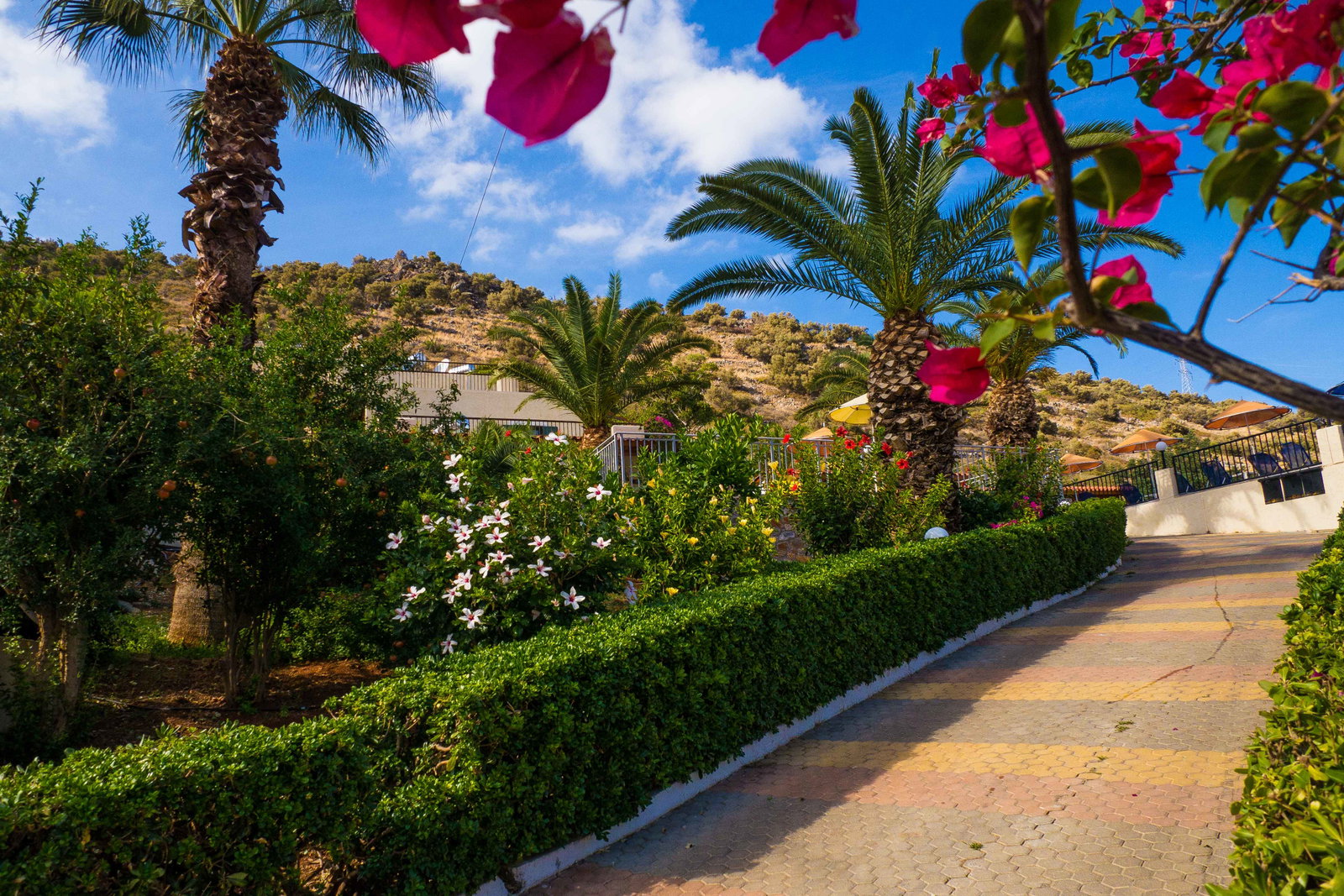 dal travel Mariamare Apts