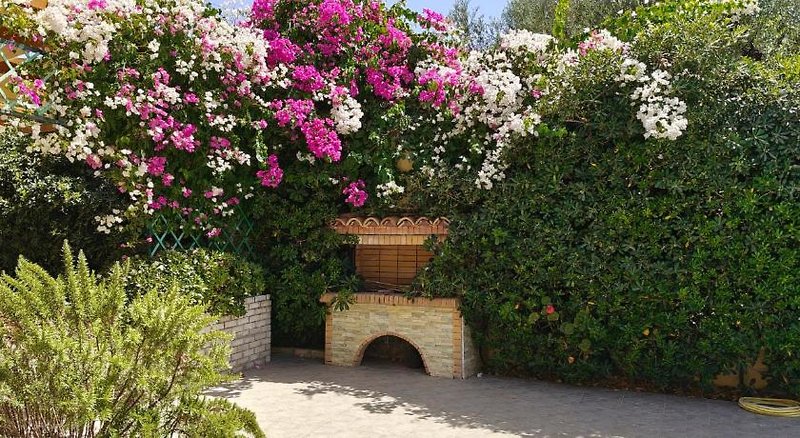 Hotel Muses Zante Villas