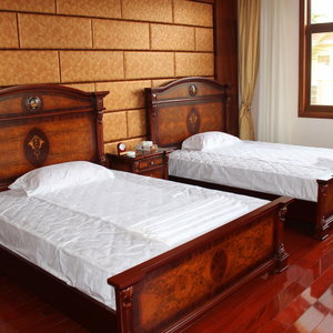 Hotel Madagascar Golden Peacock Hotel cazare Antananarivo