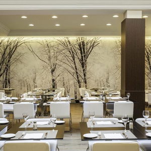 Sejur Ilunion Suites Madrid vacanta Madrid