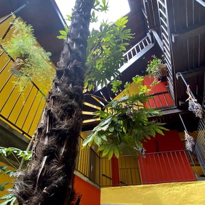 Hotel Residenza Motta cazare Locarno