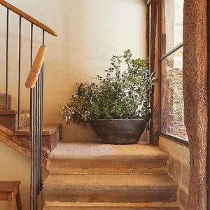 Hotel Oar Cottage cazare Durango