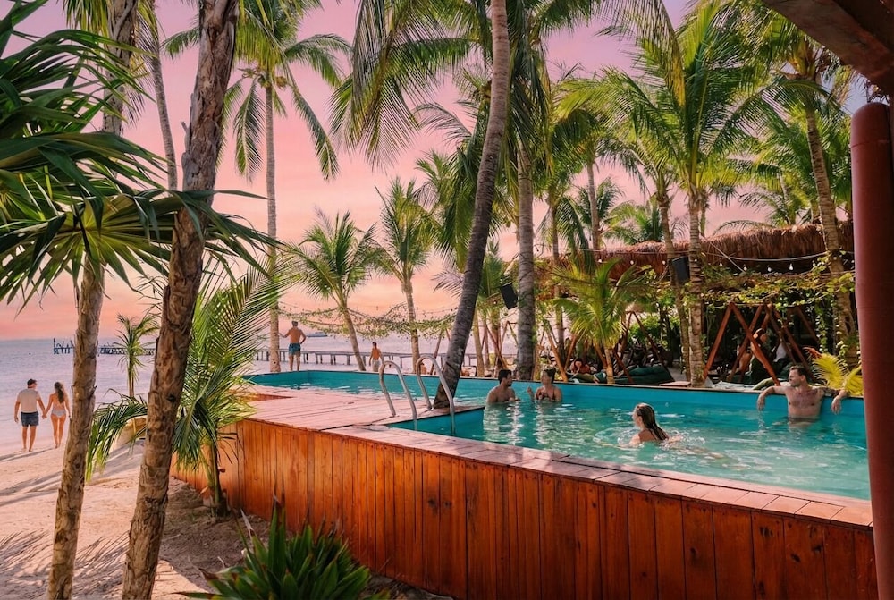 Hotel Mayan Monkey Isla Mujeres Social Hotel