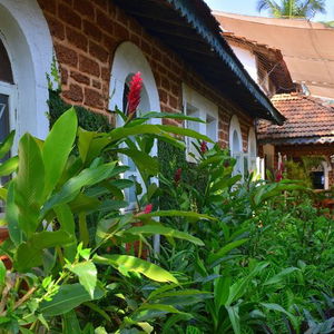 Hotel Cavala Seaside Resort cazare Calangute