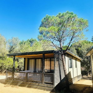 Hotel Camping Vigna Maggiore cazare Olmeto