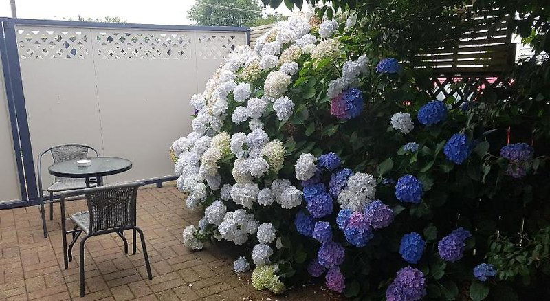 Hotel Palm Court Motel