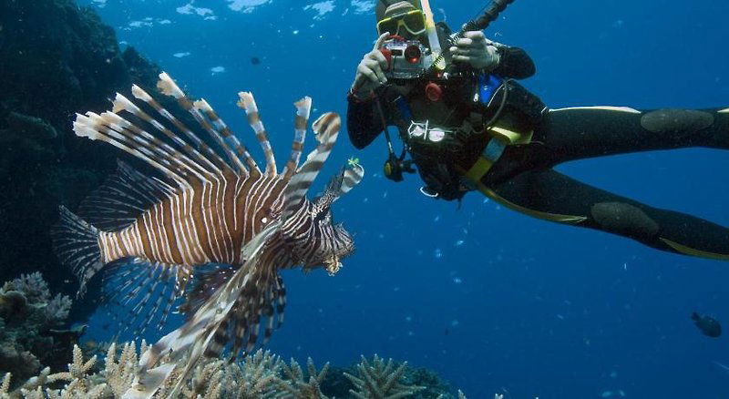 Hotel Sunshine Court