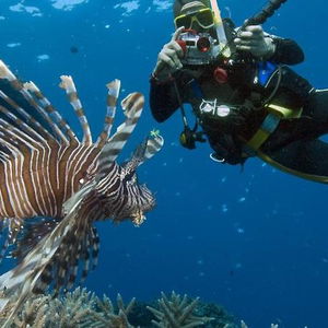 Hotel Sunshine Court cazare San Pawl il-Bahar