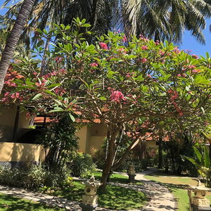 Hotel Teluk Karang Dive & Spa Resort cazare Tejakula