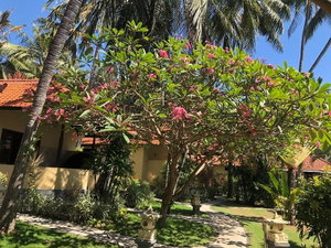 Hotel Teluk Karang Dive & Spa Resort cazare Tejakula