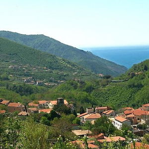 Sejur La Casa Di Farfalle E Gabbiani B&B vacanta Tramonti