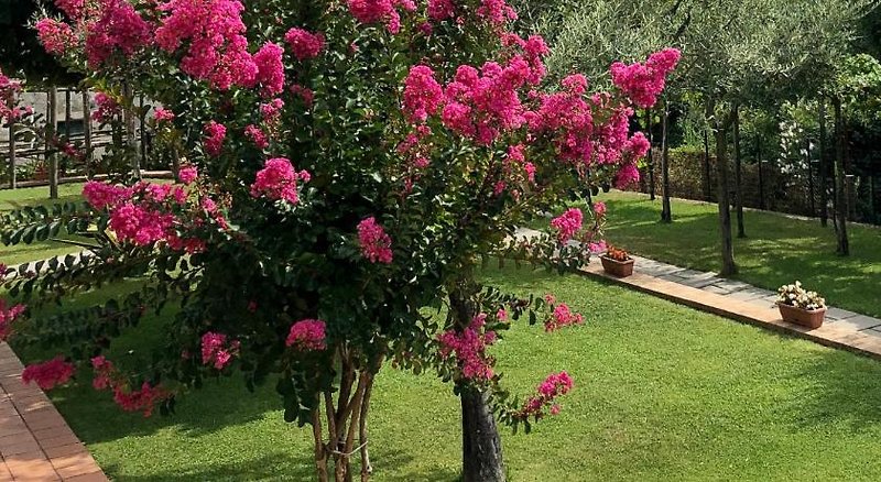 La Casa Di Farfalle E Gabbiani B&B