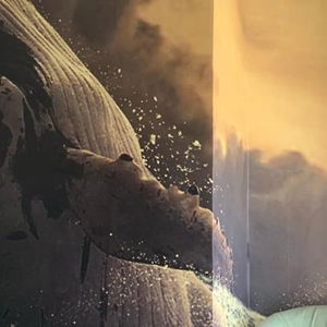 Hotel Hotel Veliero Residence cazare Riccione