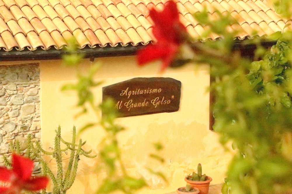 Hotel Al Grande Gelso