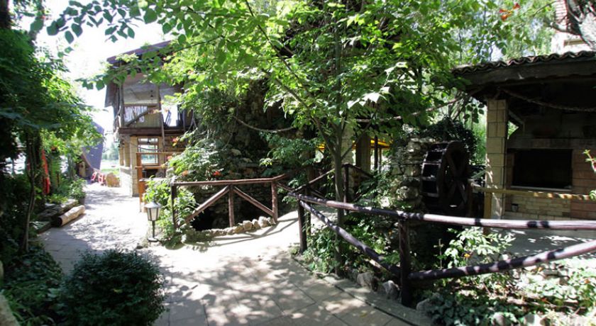 Insula