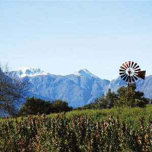 Hotel Sugarbird Manor cazare Stellenbosch