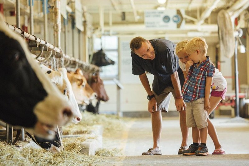 Hotel Comfort Inn West