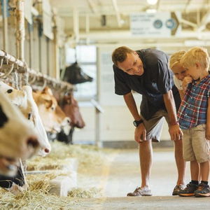 Hotel Comfort Inn West cazare Ottawa