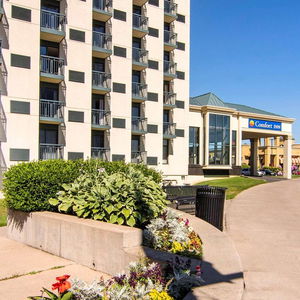 Hotel Comfort Inn Fallsview cazare Niagara Falls