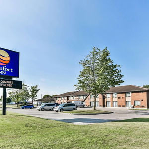Hotel Comfort Inn Chatham cazare Chatham