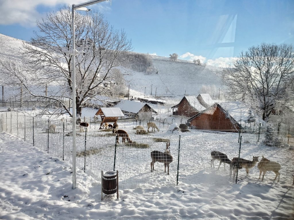 Domeniul Valea Lupilor - Pensiunea Valea Cu Struti