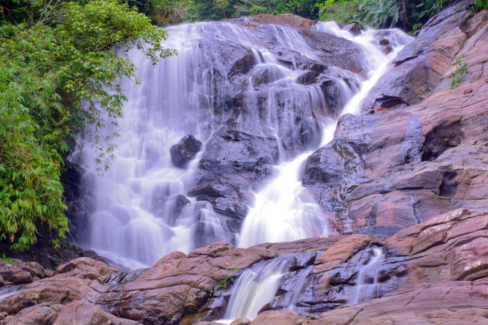 Hotel Sinharaja Forest Gate