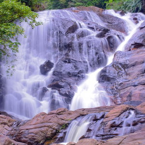 Hotel Sinharaja Forest Gate cazare Deniyaya
