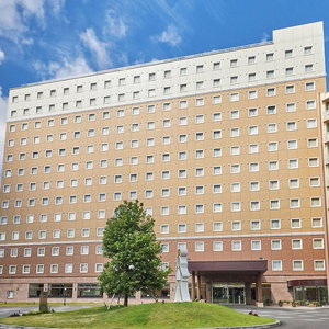 Hotel Toyoko Inn Narita Airport Shinkan cazare Narita