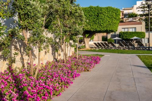 dal travel Stellina Group Hotels Chania