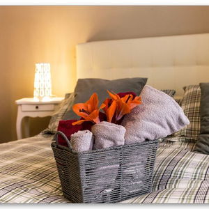 Sejur B&B Monica's House vacanta Salerno