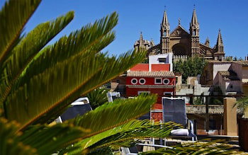 dal travel Petit Palace Hotel Tres