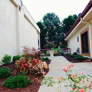 Hotel Red Roof Inn & Suites Commerce cazare Burley