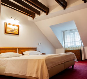 Hotel Hotel Traube cazare Medias