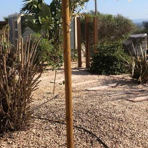 Hotel Quinta Das Amendoeiras B&B cazare Silves