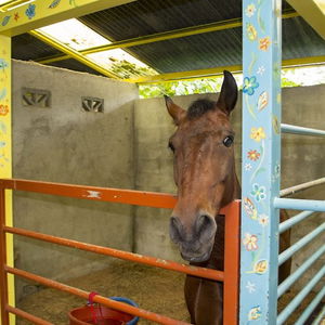 Hotel Lands In Love Tierras Enamoradas cazare La Fortuna