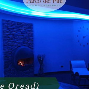 Hotel Parco Dei Pini Sila Wellness Hotel cazare Catanzaro