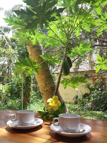 Hotel Phu Quoc Pomelo Garden Resort