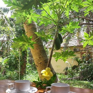 Hotel Phu Quoc Pomelo Garden Resort cazare Phu Quoc