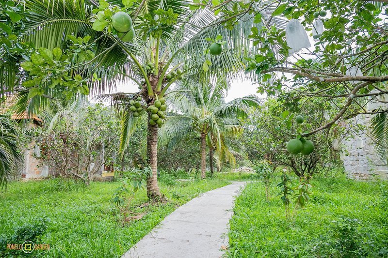 Phu Quoc Pomelo Garden Resort