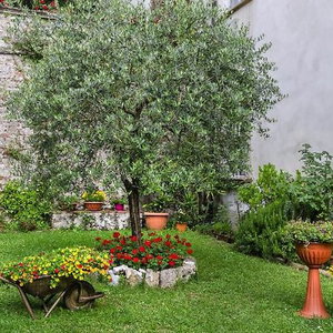 Hotel Villa Del Seminario - Casa Diocesana E Bartoletti cazare Lucca