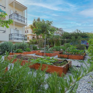 Hotel Astir Studios cazare Heraklion