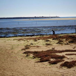 Hotel Bed & Breakfast Suites Da Ria cazare Mexilhoeira Grande