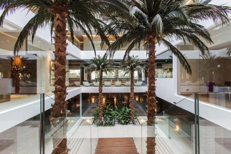 The Oasis By Don Carlos
