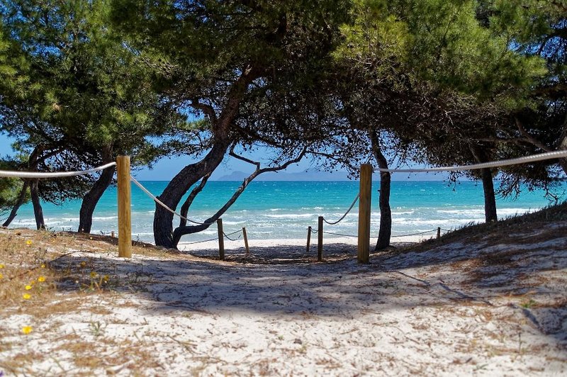 Alcudia Boutique Apartments