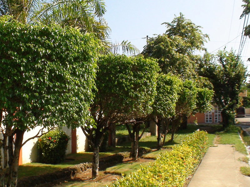 Hotel El Colibri
