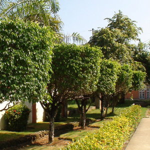 Hotel El Colibri cazare Sosua