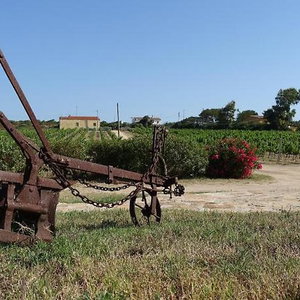 Hotel Agriturismo Campesi cazare Aglientu