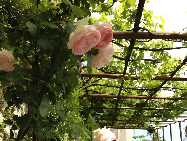Hotel Agriturismo Sant'alfonso