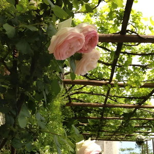 Hotel Agriturismo Sant'alfonso cazare Furore