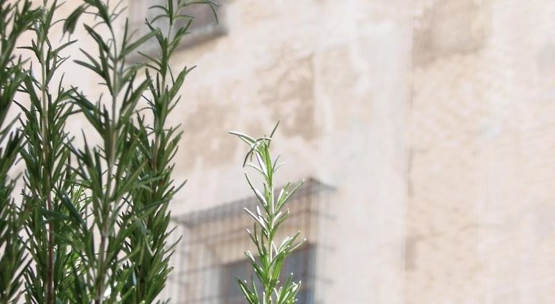 Hotel Apartasuites Las Coles